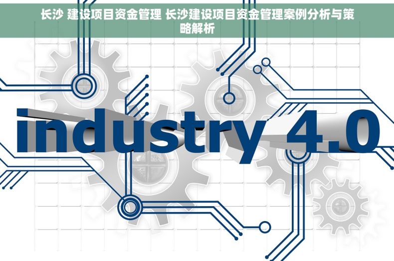 长沙 建设项目资金管理 长沙建设项目资金管理案例分析与策略解析