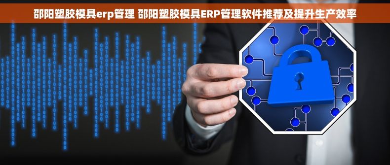 邵阳塑胶模具erp管理 邵阳塑胶模具ERP管理软件推荐及提升生产效率