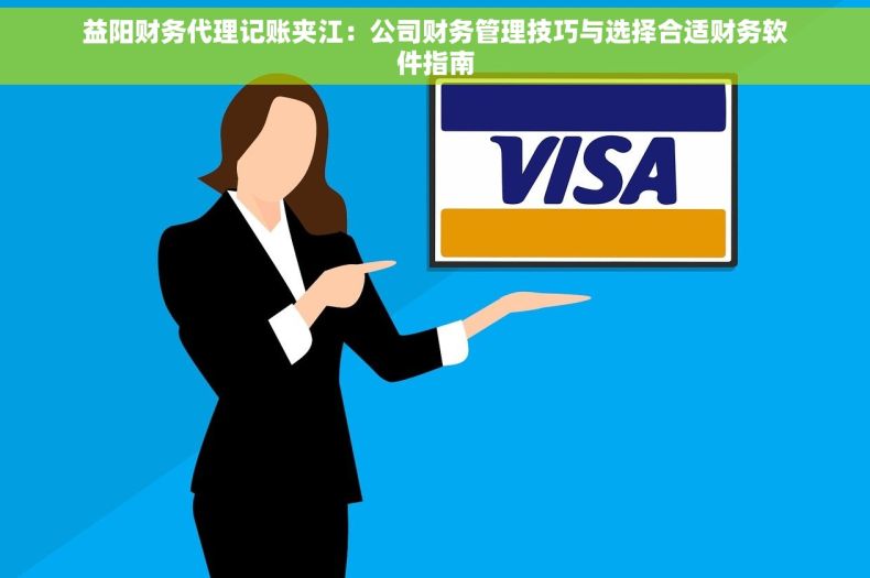 益阳财务代理记账夹江：公司财务管理技巧与选择合适财务软件指南