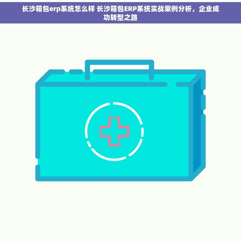 长沙箱包erp系统怎么样 长沙箱包ERP系统实战案例分析，企业成功转型之路
