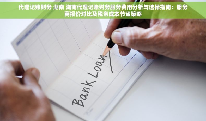 代理记账财务 湖南 湖南代理记账财务服务费用分析与选择指南：服务商报价对比及税务成本节省策略