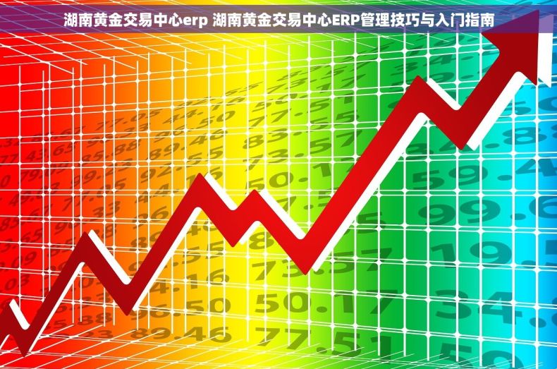 湖南黄金交易中心erp 湖南黄金交易中心ERP管理技巧与入门指南