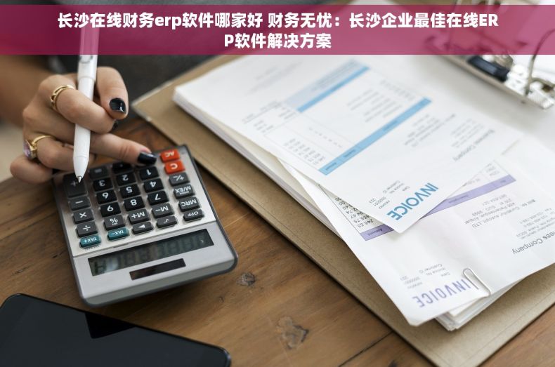 长沙在线财务erp软件哪家好 财务无忧：长沙企业最佳在线ERP软件解决方案