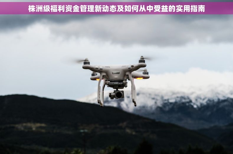 株洲级福利资金管理新动态及如何从中受益的实用指南