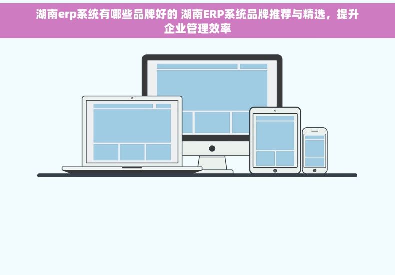 湖南erp系统有哪些品牌好的 湖南ERP系统品牌推荐与精选，提升企业管理效率
