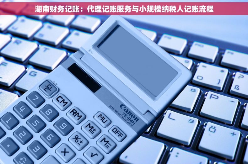 湖南财务记账：代理记账服务与小规模纳税人记账流程