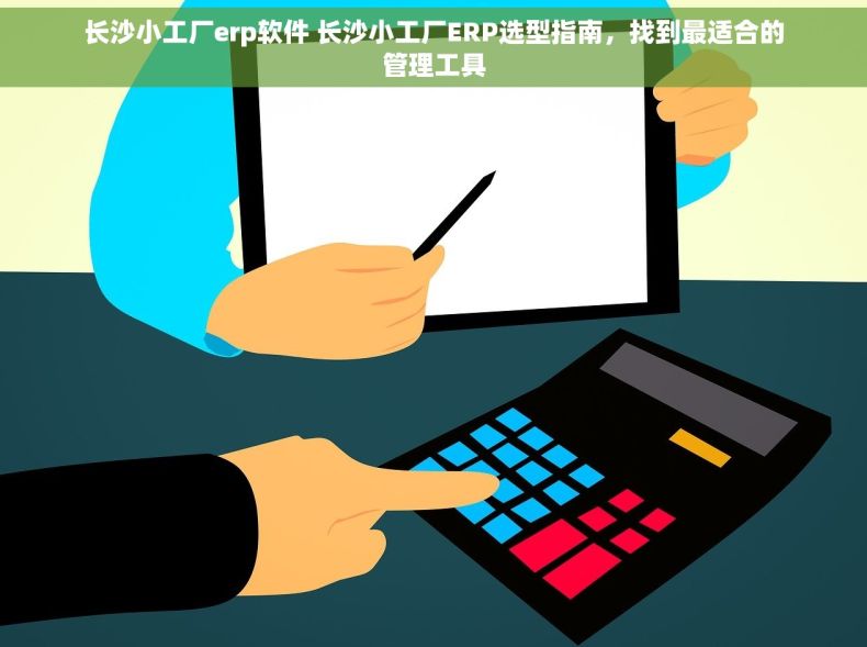 长沙小工厂erp软件 长沙小工厂ERP选型指南，找到最适合的管理工具