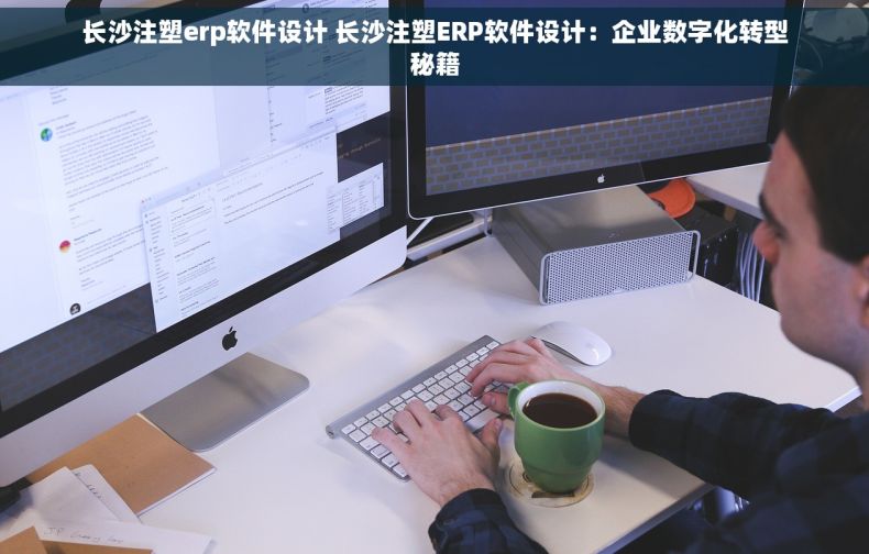 长沙注塑erp软件设计 长沙注塑ERP软件设计：企业数字化转型秘籍