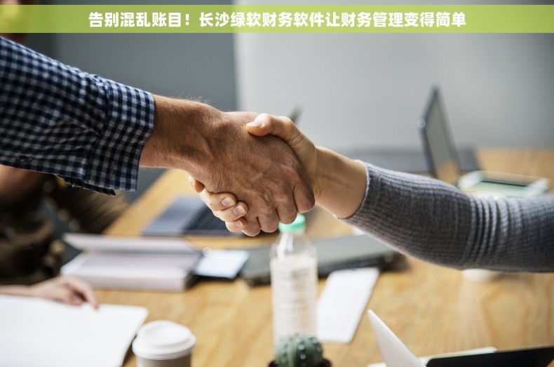 告别混乱账目！长沙绿软财务软件让财务管理变得简单