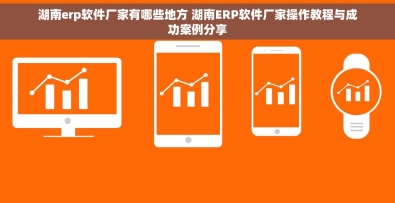 湖南erp软件厂家有哪些地方 湖南ERP软件厂家操作教程与成功案例分享