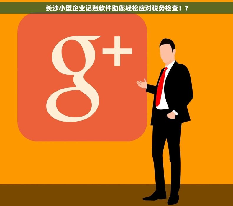 长沙小型企业记账软件助您轻松应对税务检查！?