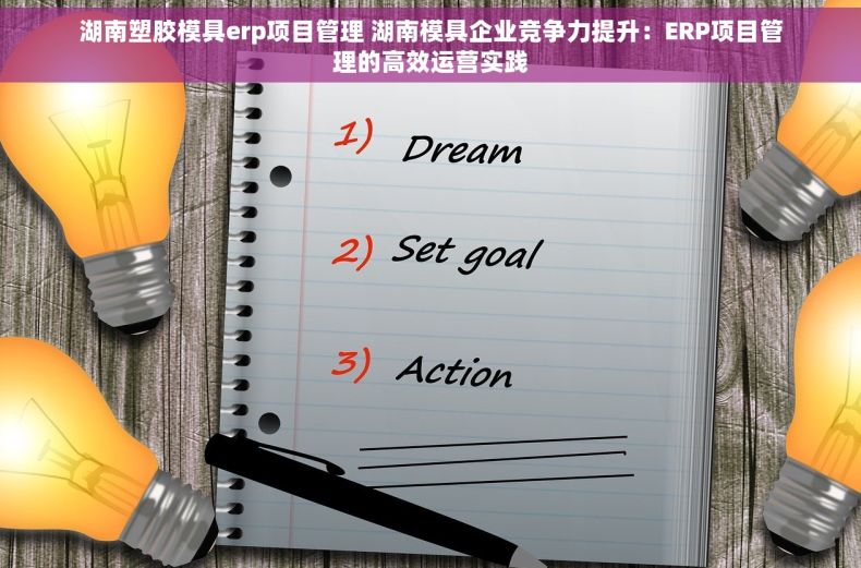 湖南塑胶模具erp项目管理 湖南模具企业竞争力提升：ERP项目管理的高效运营实践