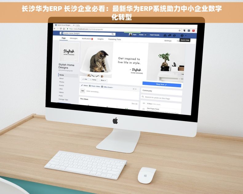 长沙华为ERP 长沙企业必看：最新华为ERP系统助力中小企业数字化转型