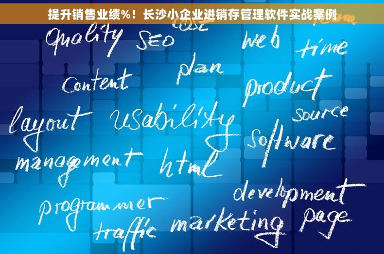 提升销售业绩%！长沙小企业进销存管理软件实战案例