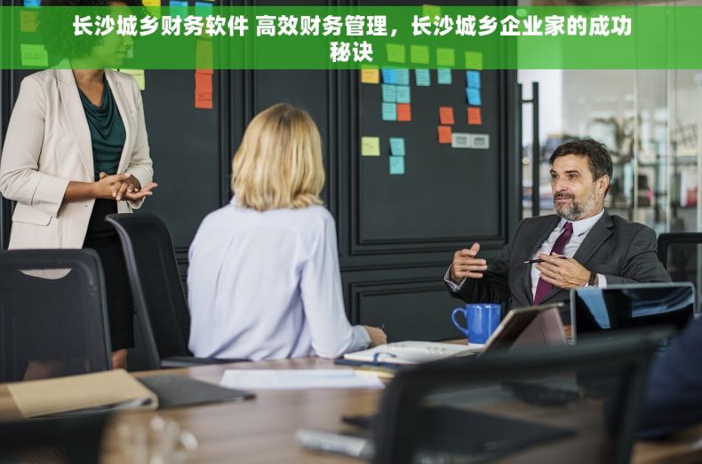 长沙城乡财务软件 高效财务管理，长沙城乡企业家的成功秘诀