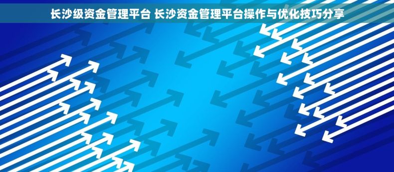 长沙级资金管理平台 长沙资金管理平台操作与优化技巧分享