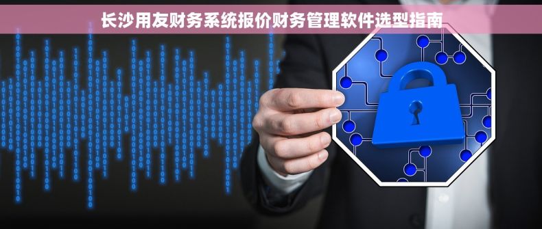 长沙用友财务系统报价财务管理软件选型指南