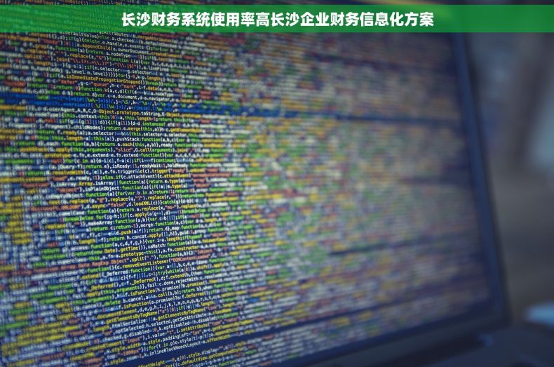 长沙财务系统使用率高长沙企业财务信息化方案