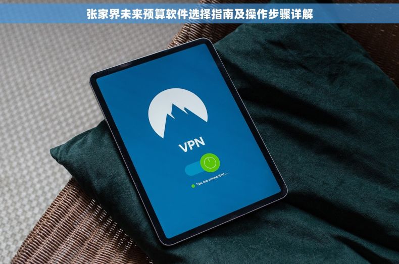 张家界未来预算软件选择指南及操作步骤详解