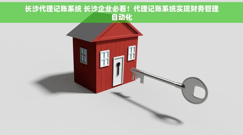 长沙代理记账系统 长沙企业必看！代理记账系统实现财务管理自动化