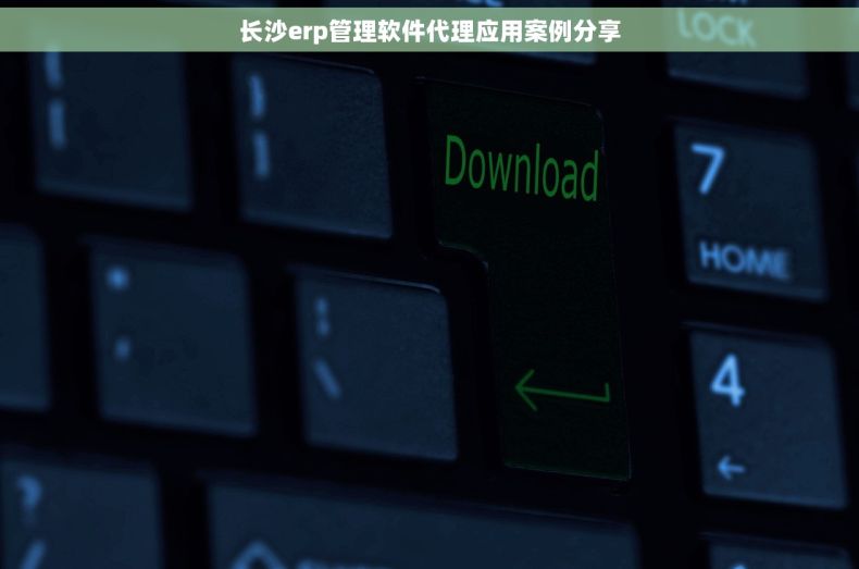 长沙erp管理软件代理应用案例分享