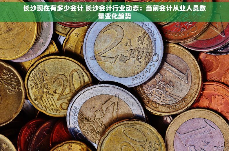 长沙现在有多少会计 长沙会计行业动态：当前会计从业人员数量变化趋势