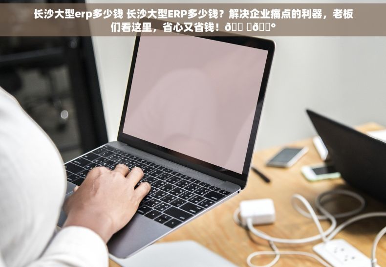 长沙大型erp多少钱 长沙大型ERP多少钱？解决企业痛点的利器，老板们看这里，省心又省钱！🛠️💰
