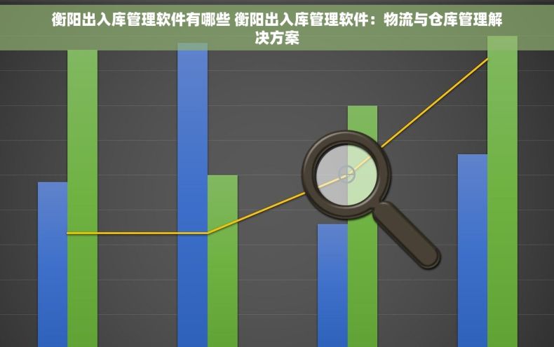 衡阳出入库管理软件有哪些 衡阳出入库管理软件：物流与仓库管理解决方案