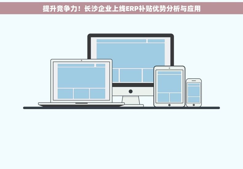 提升竞争力！长沙企业上线ERP补贴优势分析与应用