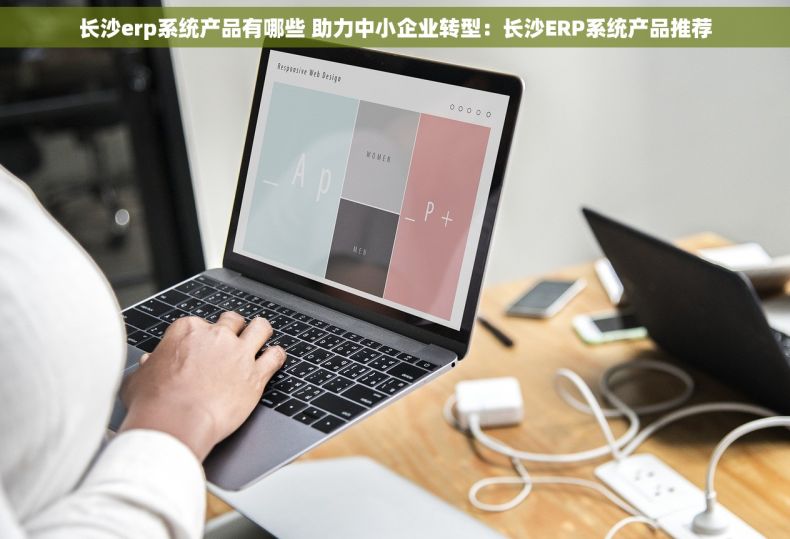 长沙erp系统产品有哪些 助力中小企业转型：长沙ERP系统产品推荐