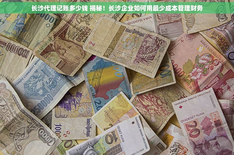 长沙代理记账多少钱 揭秘！长沙企业如何用最少成本管理财务