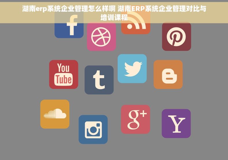 湖南erp系统企业管理怎么样啊 湖南ERP系统企业管理对比与培训课程