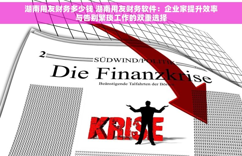 湖南用友财务多少钱 湖南用友财务软件：企业家提升效率与告别繁琐工作的双重选择