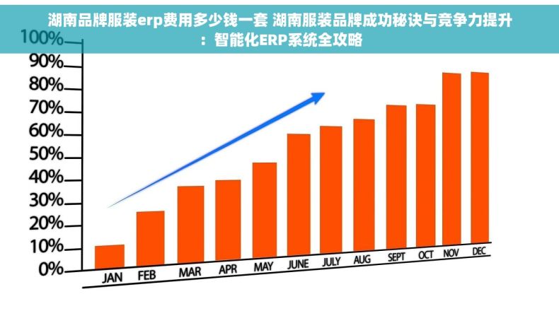 湖南品牌服装erp费用多少钱一套 湖南服装品牌成功秘诀与竞争力提升：智能化ERP系统全攻略