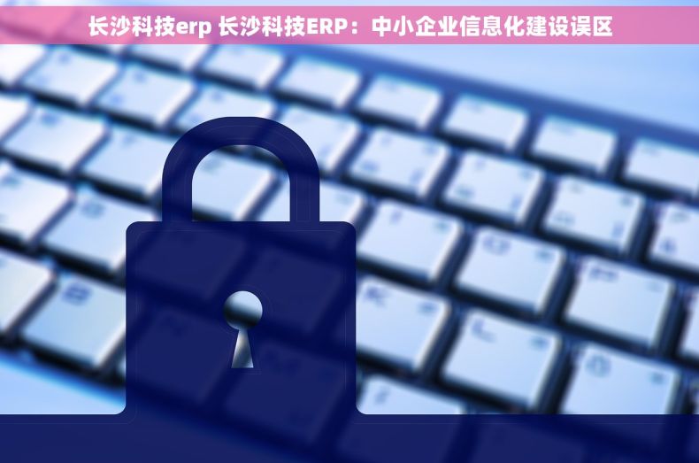 长沙科技erp 长沙科技ERP：中小企业信息化建设误区