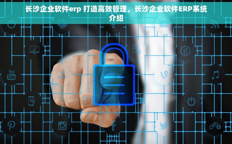 长沙企业软件erp 打造高效管理，长沙企业软件ERP系统介绍
