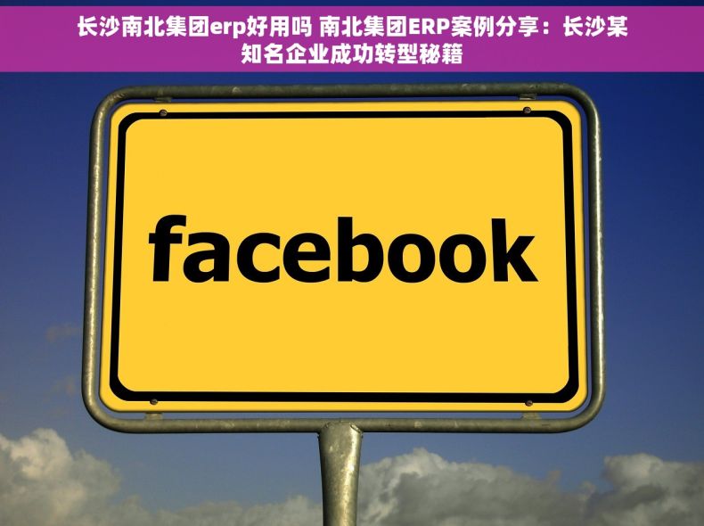 长沙南北集团erp好用吗 南北集团ERP案例分享：长沙某知名企业成功转型秘籍