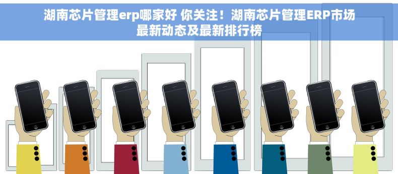 湖南芯片管理erp哪家好 你关注！湖南芯片管理ERP市场最新动态及最新排行榜