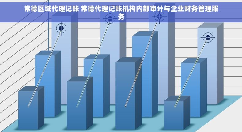 常德区域代理记账 常德代理记账机构内部审计与企业财务管理服务