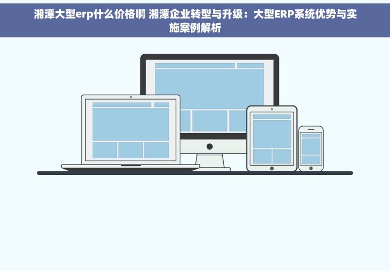 湘潭大型erp什么价格啊 湘潭企业转型与升级：大型ERP系统优势与实施案例解析