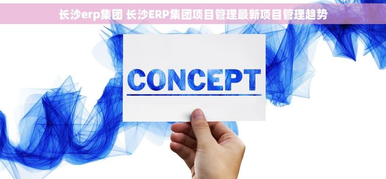 长沙erp集团 长沙ERP集团项目管理最新项目管理趋势