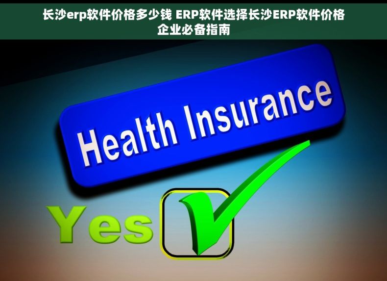 长沙erp软件价格多少钱 ERP软件选择长沙ERP软件价格企业必备指南