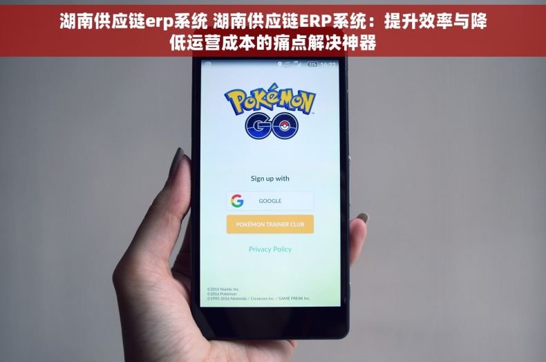湖南供应链erp系统 湖南供应链ERP系统：提升效率与降低运营成本的痛点解决神器