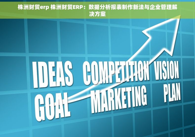 株洲财贸erp 株洲财贸ERP：数据分析报表制作新法与企业管理解决方案
