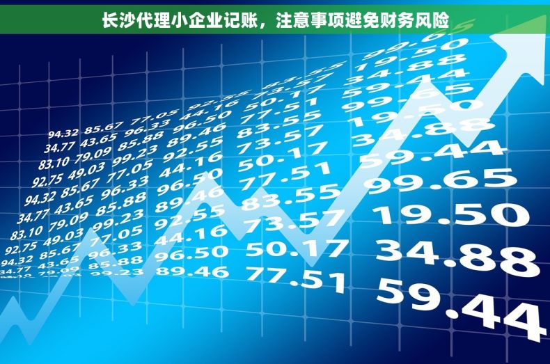 长沙代理小企业记账，注意事项避免财务风险