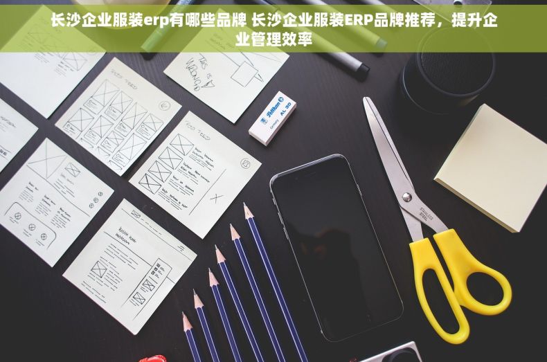 长沙企业服装erp有哪些品牌 长沙企业服装ERP品牌推荐，提升企业管理效率