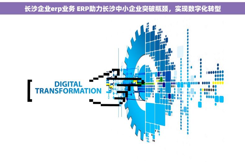 长沙企业erp业务 ERP助力长沙中小企业突破瓶颈，实现数字化转型
