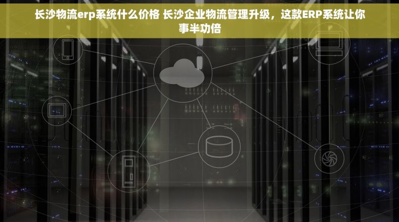 长沙物流erp系统什么价格 长沙企业物流管理升级，这款ERP系统让你事半功倍