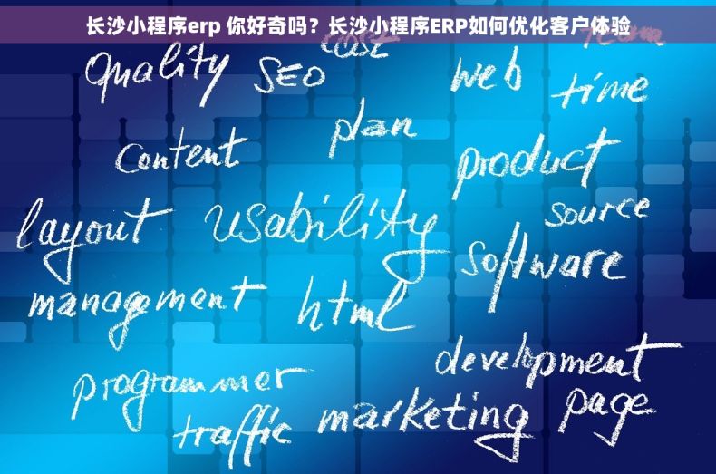 长沙小程序erp 你好奇吗？长沙小程序ERP如何优化客户体验
