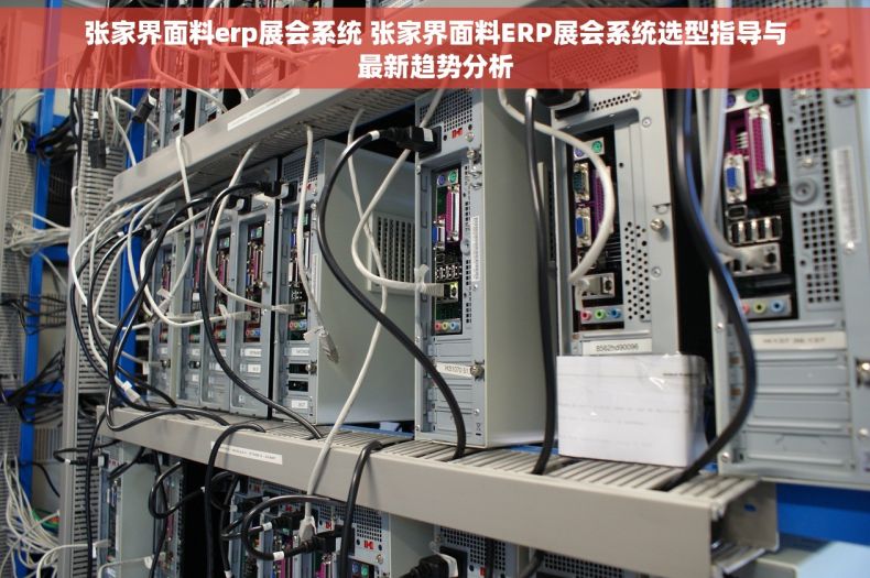 张家界面料erp展会系统 张家界面料ERP展会系统选型指导与最新趋势分析